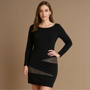 Black Long Sleeve Dress with Sheer Panel Fits Like a Large